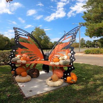 slow pan video of monarch butterfly bench